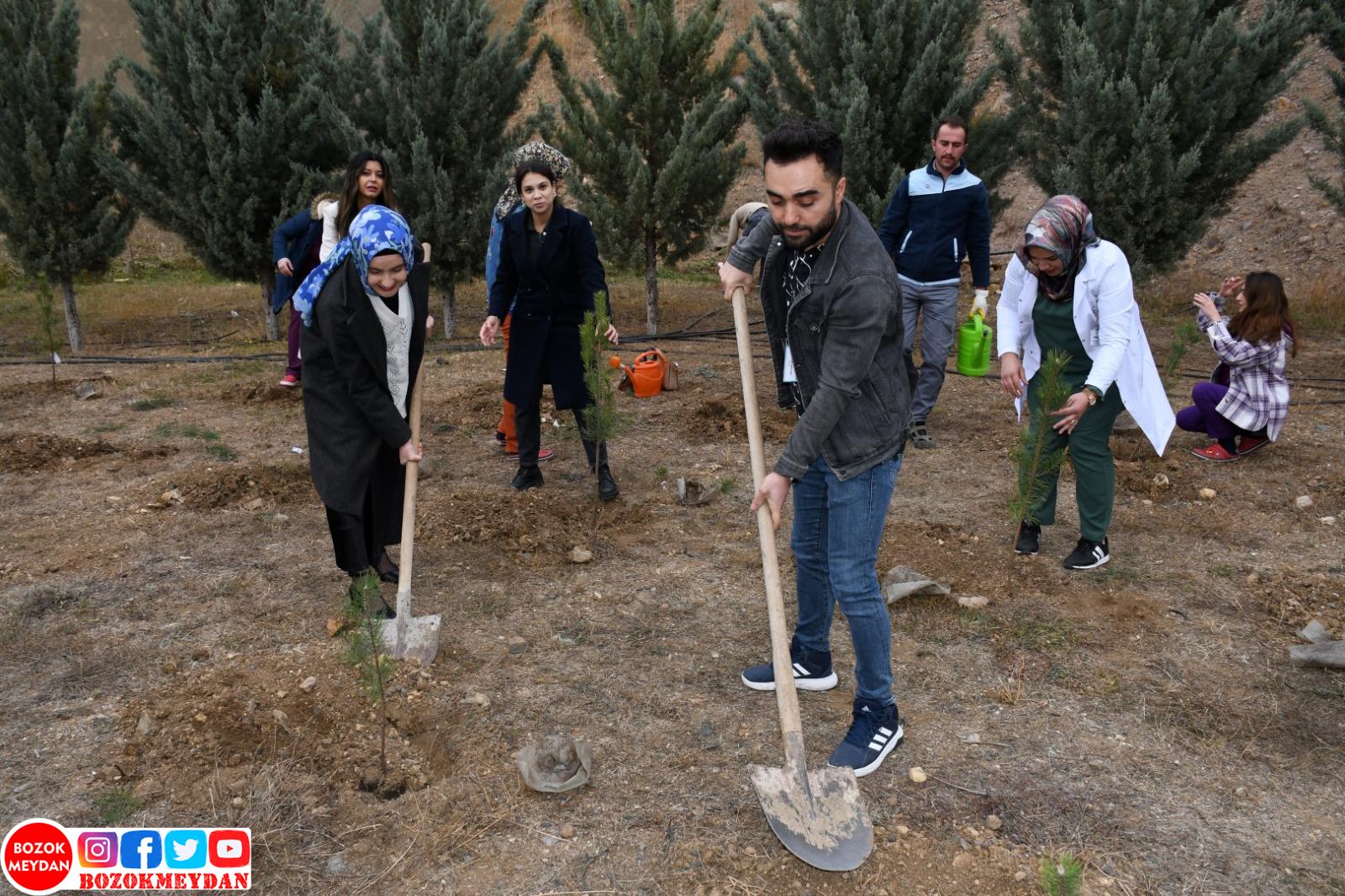 Yozgat Şehir Hastanesinde 500 Fidan Toprakla Buluşturuldu.