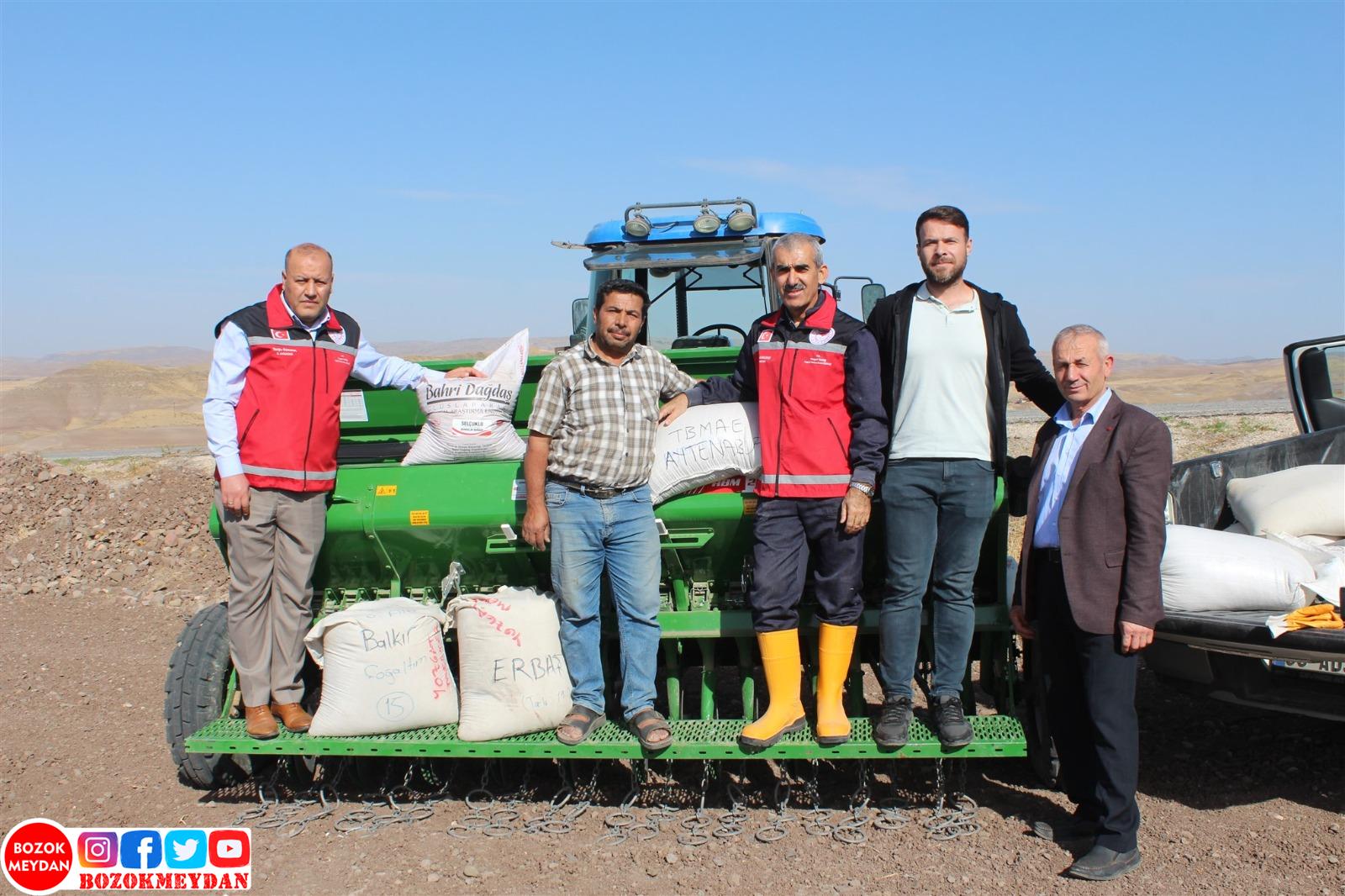 Yerli Buğday Yerli Üretim