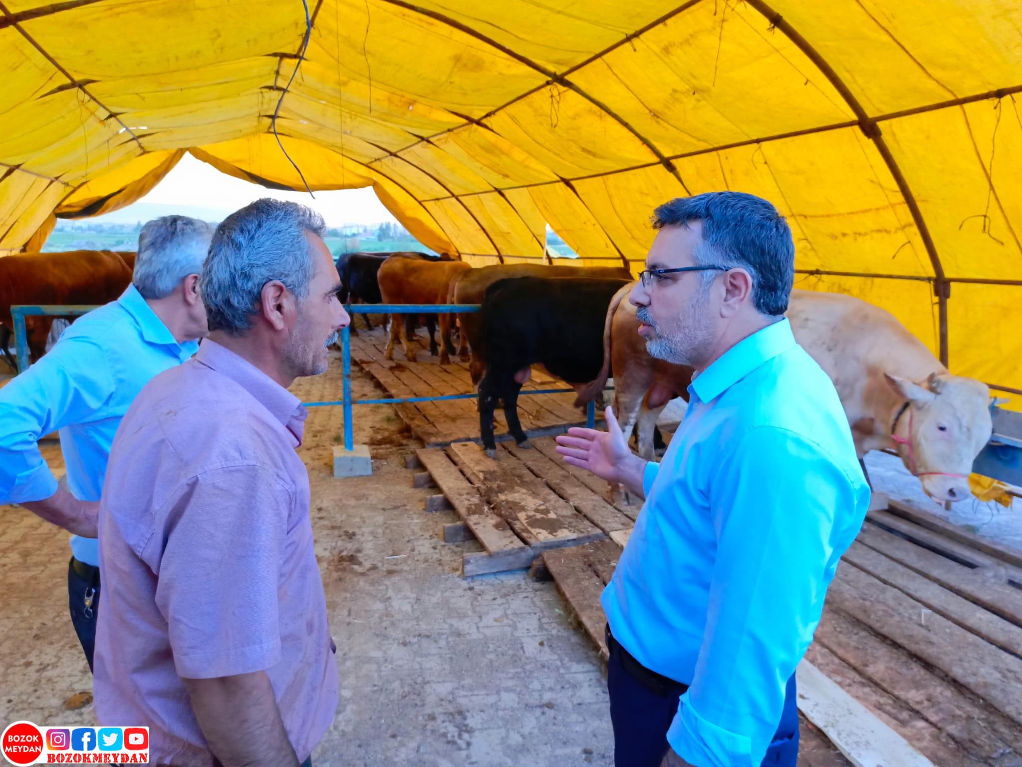 Başkan Arslan Kurban Bayramı Öncesi Hayvan Pazarını Ziyaret Etti
