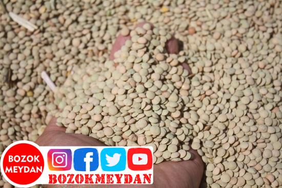 Yozgat’ta Yerli Mercimek Hasadı Başladı