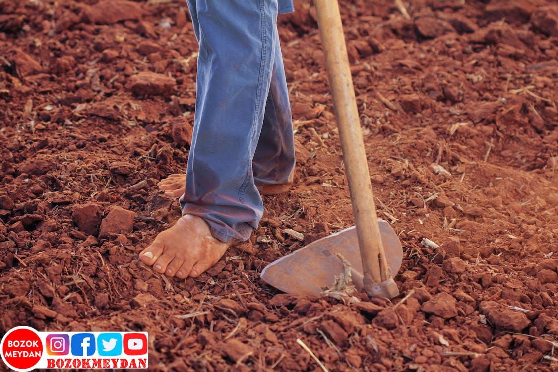 Ne Kadar Şehirliyiz?