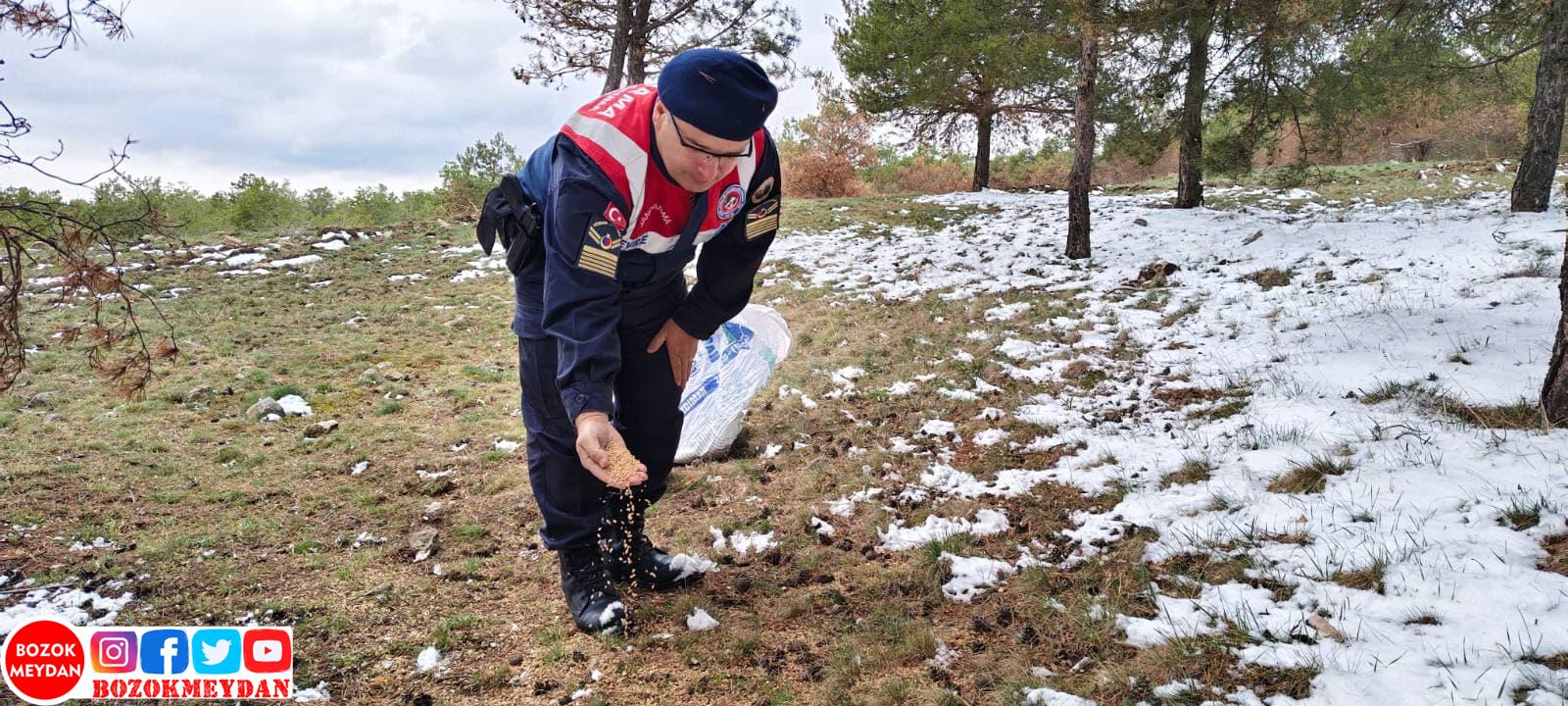 Jandarma’dan Yaban Hayatı İçin Anlamlı Çalışma (Videolu Haber)