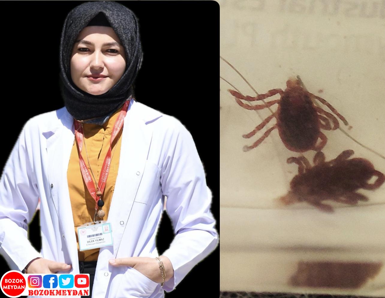 Uz. Dr. Dilek Yılmaz’dan Kene Uyarısı: “KKKA’ya Karşı Dikkatli Olun”