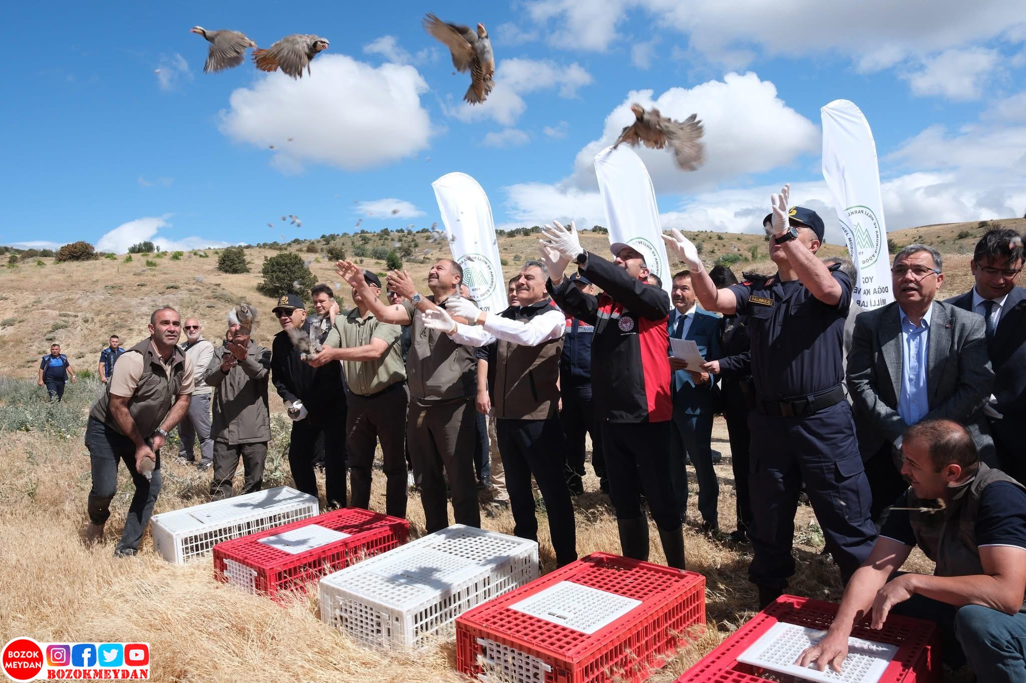 Yozgat’ta Bin Keklik Doğaya Salındı